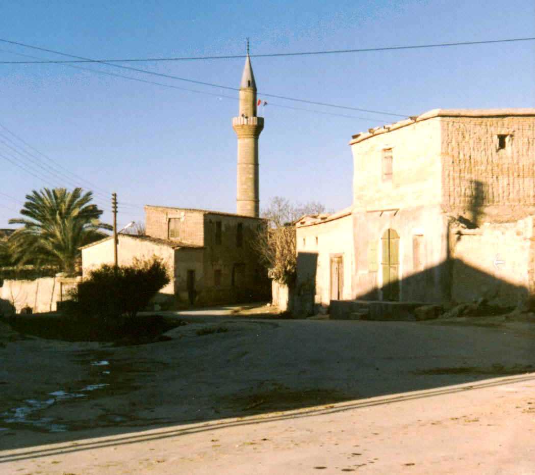 Another view of the village minaret and houses nearby